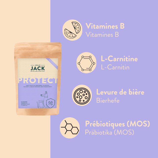 PROTECT - immunité