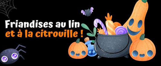 Friandises pour chiens à la citrouille et au lin