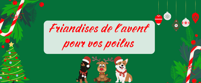 Friandises de l'avent pour vos poilus