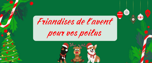 Friandises de l'avent pour vos poilus