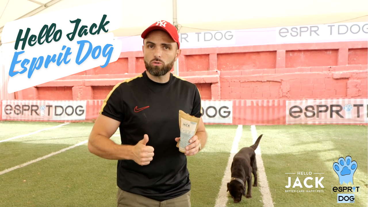 Cargar video: 
